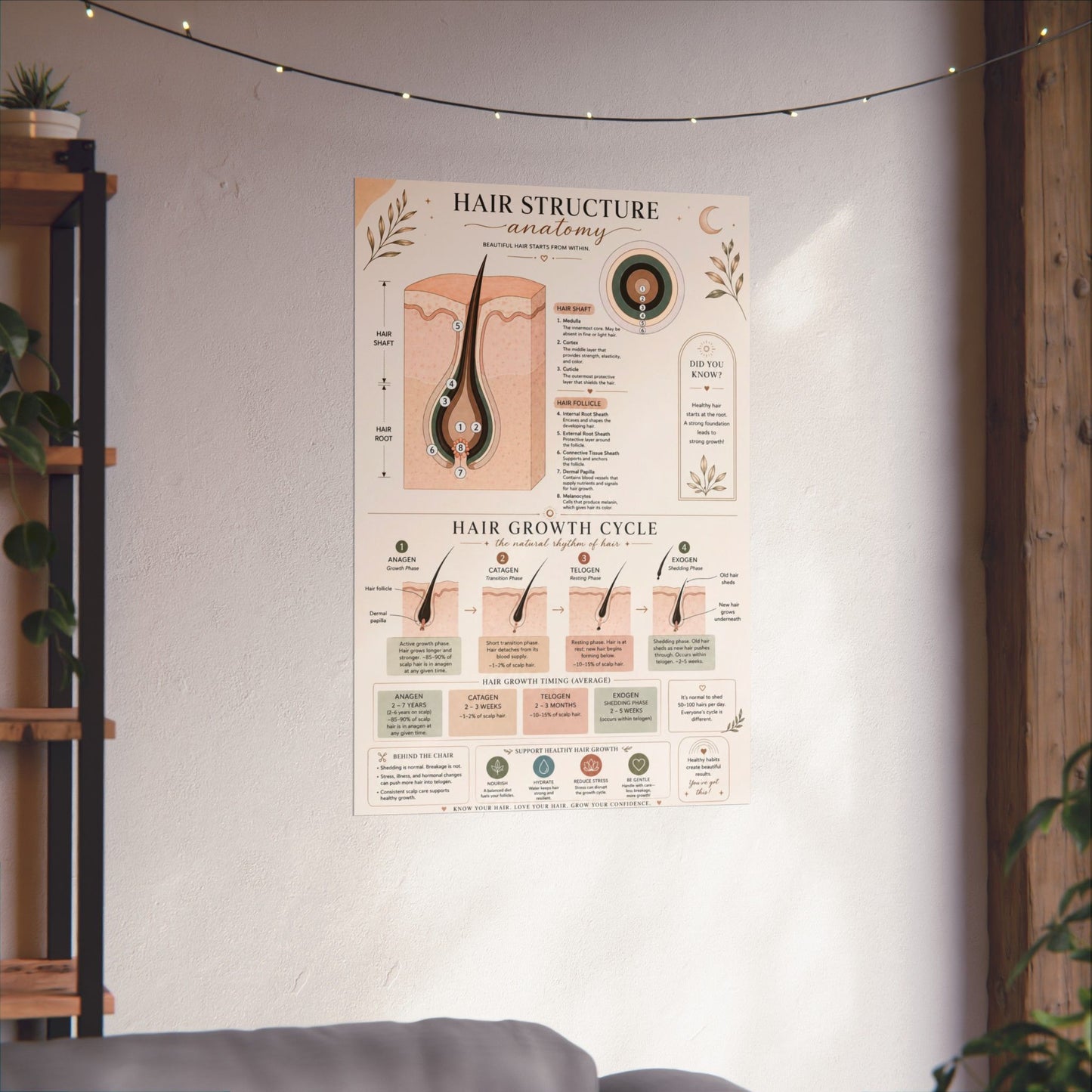 Hair Growth Cycle & Anatomy Poster for Stylists | Cosmetology Education Chart | Hair Structure Guide | Salon Wall Art