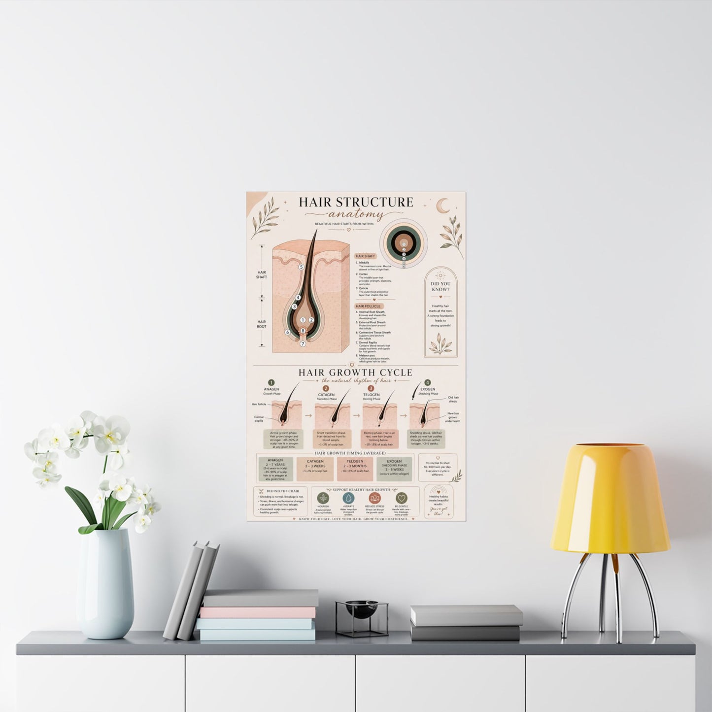 Hair Growth Cycle & Anatomy Poster for Stylists | Cosmetology Education Chart | Hair Structure Guide | Salon Wall Art
