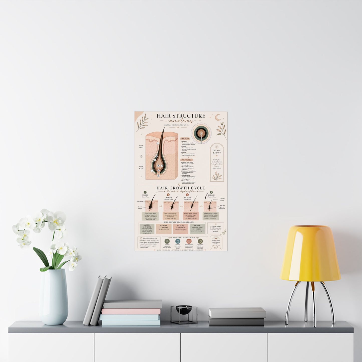 Hair Growth Cycle & Anatomy Poster for Stylists | Cosmetology Education Chart | Hair Structure Guide | Salon Wall Art