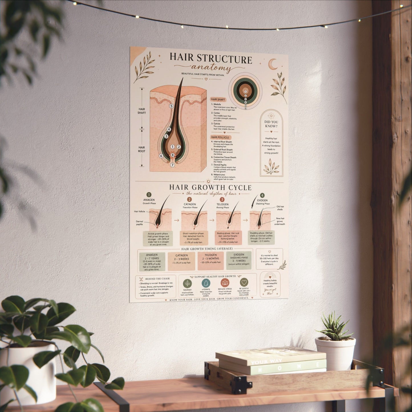 Hair Growth Cycle & Anatomy Poster for Stylists | Cosmetology Education Chart | Hair Structure Guide | Salon Wall Art