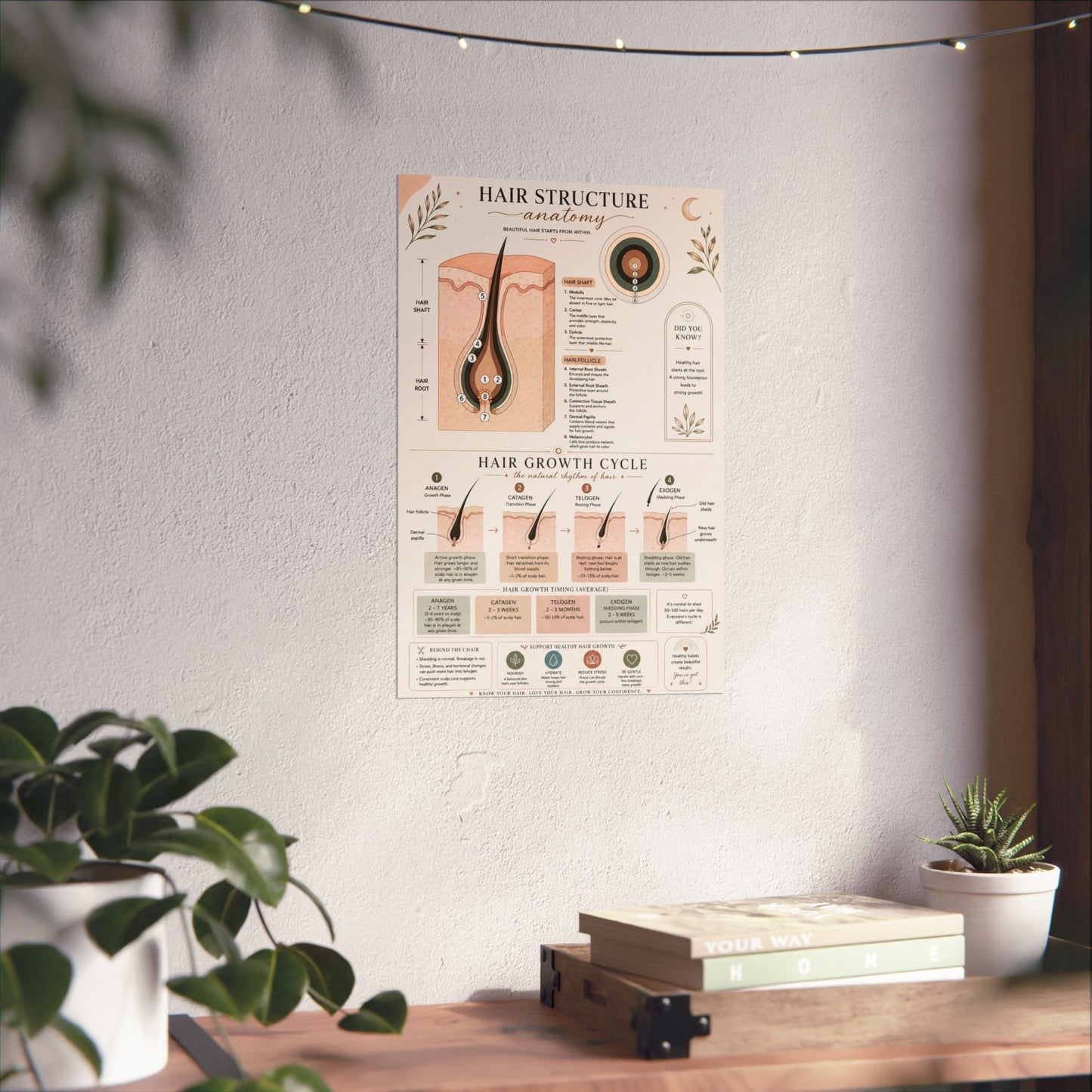 Hair Growth Cycle & Anatomy Poster for Stylists | Cosmetology Education Chart | Hair Structure Guide | Salon Wall Art